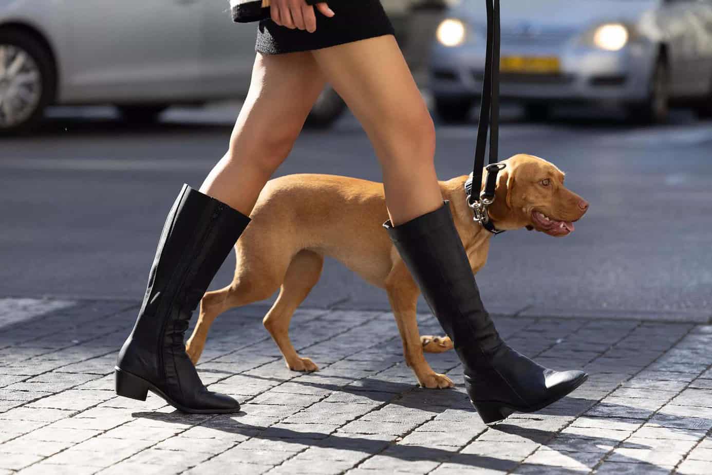 מגפוני נוחות לנשים של נאות (טבע נאות) דגם גיפט שחור מחיר 900 שח צילום שי יחזקאל - חדשות האופנה